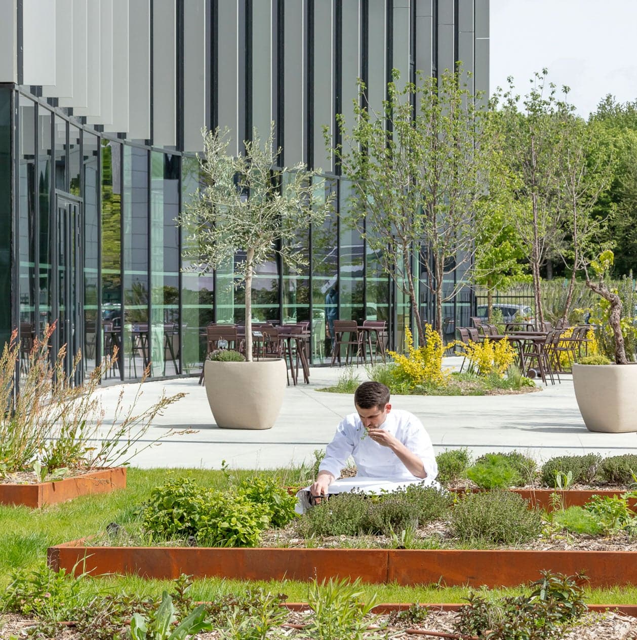 Paris_campus_5